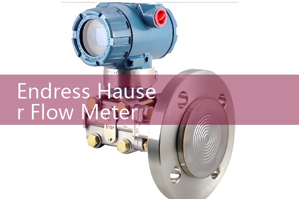 Endress Hauser Flow Meter Wiring Diagram and Grounding Rings Installation Instructions