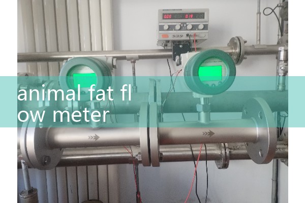 Water dispenser flow meter