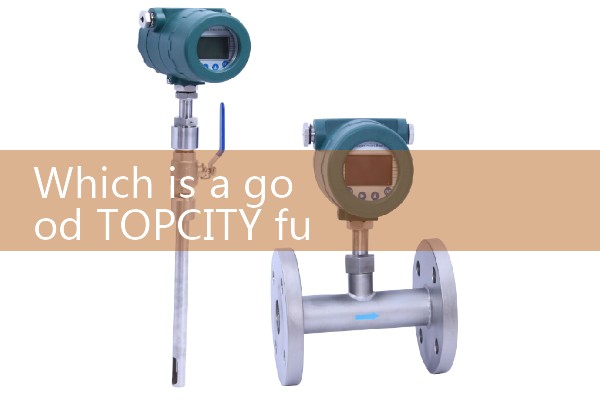 natural gas flow meter