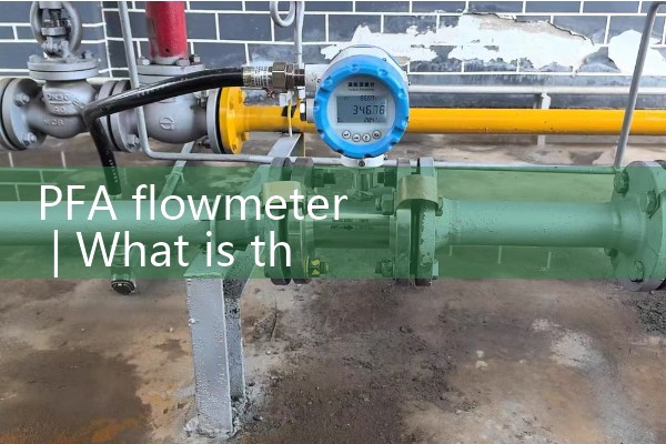 PFA flowmeter