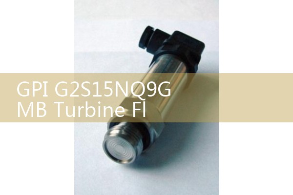 GPI G2S15NQ9GMB Turbine Flow Meter: Digital Modular Liquid Specs