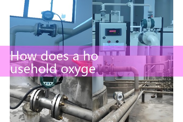 AE mass flowmeter