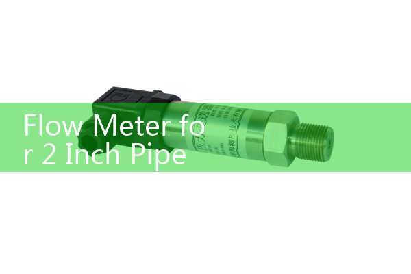 Flow Meter for 2 Inch Pipe Selection: Comparing In-Line Turbine vs Wafer Magmeters
