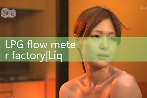 LPG flow meter factory|digital flow meter