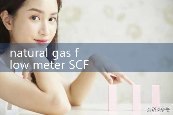 natural gas flow meter SCFM|digital flow meter