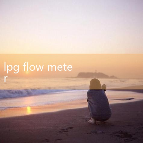 Natural Gas LPG Gas Compressed Air Flow Meter Roots Flow meter Product description : KKQY Gas Roots |digital flow meter