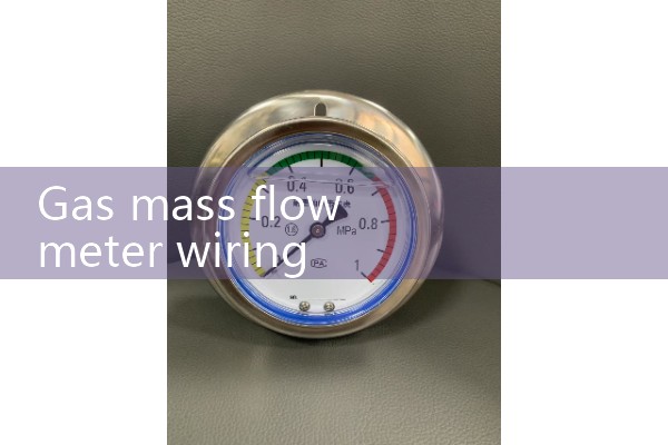 Gas mass flowmeter wiring