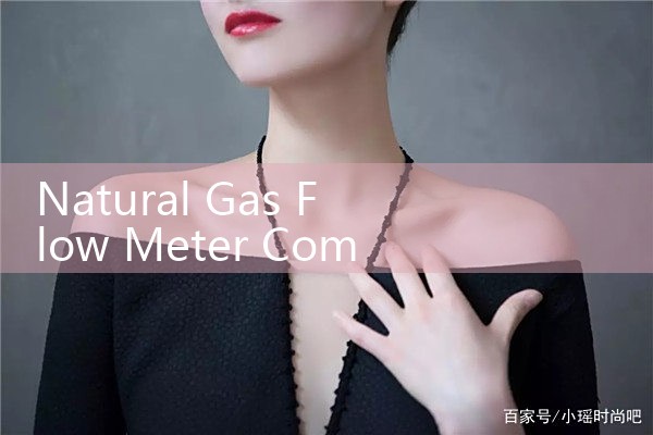 natural gas flow meter compact type|digital flow meter