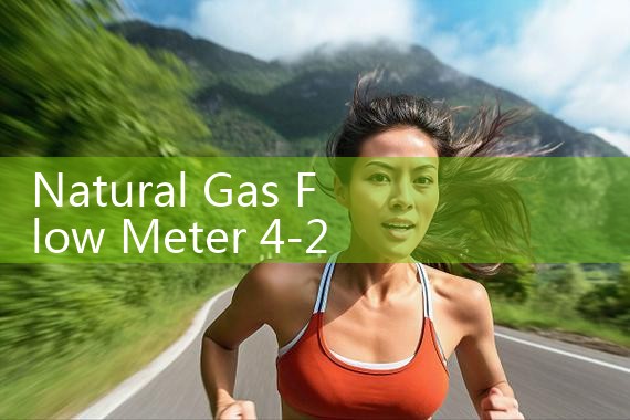natural gas flow meter 4-20mA|digital flow meter