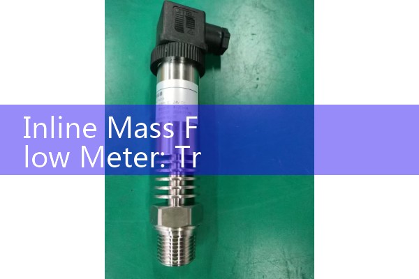 Inline Mass Flow Meter: True Coriolis Sizing for Multi-Phase and Highly Viscous Industrial Liquids