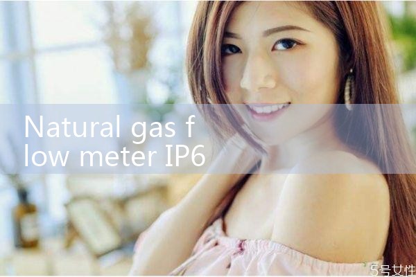 natural gas flow meter IP65|digital flow meter