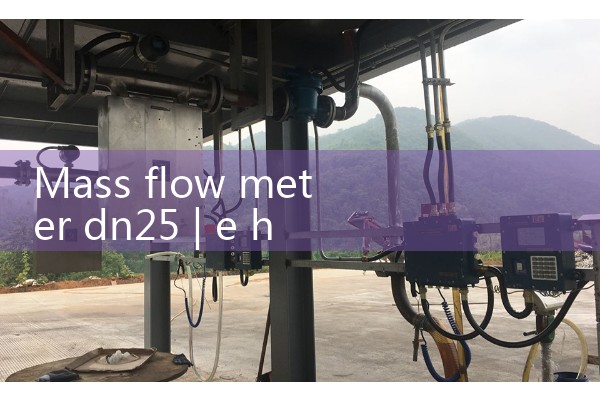 Mass flow meter dn25