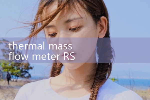 thermal mass flow meter RS485|turbine flow meter