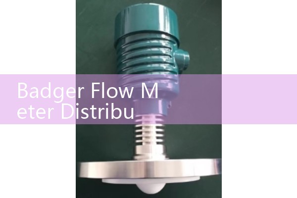 Badger Flow Meter Distributors: Sourcing Authorized Municipal Utility Main Vendors