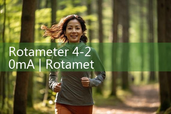 rotameter 4-20mA|turbine flow meter