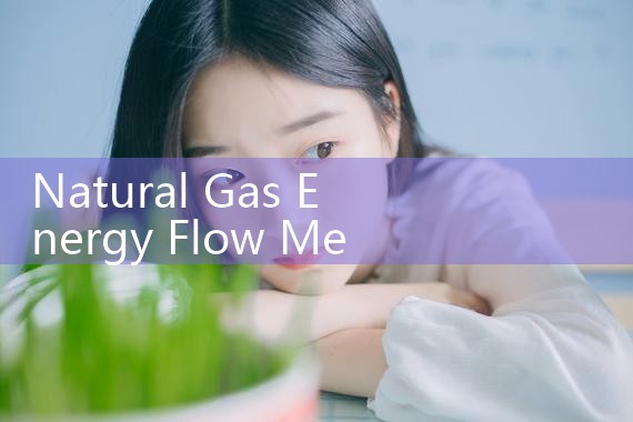 natural gas energy flow meter|digital flow meter