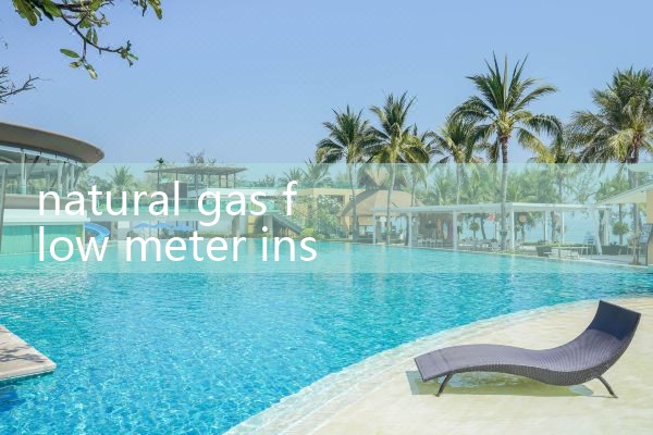 metal tube rotameter magnetic type|turbine flow meter