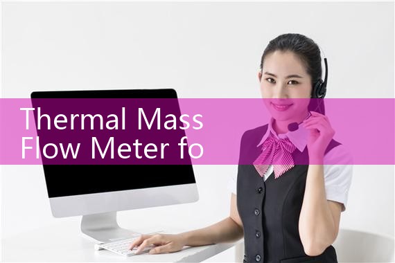 thermal mass flow meter for furnace|turbine flow meter