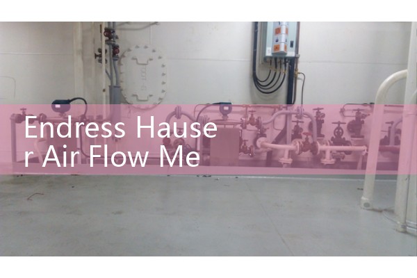 Endress Hauser Air Flow Meter Sizing: Thermal Mass and Vortex Sensors for Compressed Systems