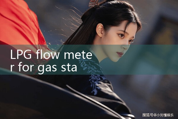 LPG flow meter for gas station|digital flow meter