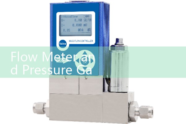 Flow Meter and Pressure Gauge Combos: Dual-Parameter Monitoring for Hydraulic Loops