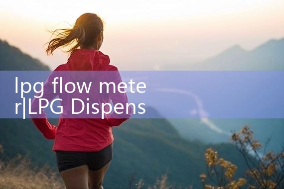lpg flow meter|digital flow meter