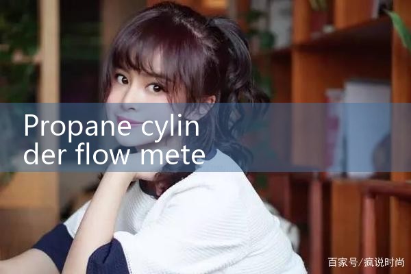 propane cylinder flow meter|digital flow meter
