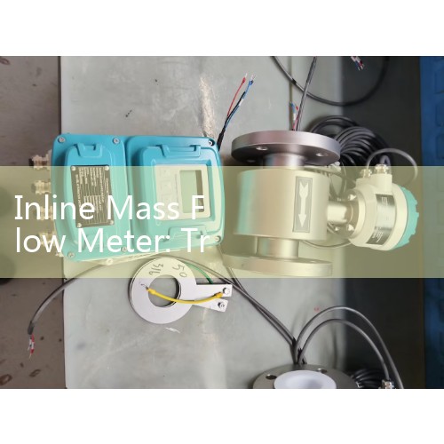 Inline Mass Flow Meter: True Coriolis Sizing for Multi-Phase and Highly Viscous Industrial Liquids