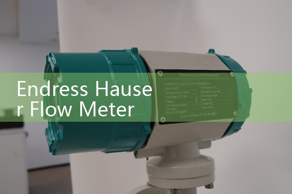 Endress Hauser Flow Meter Price Overview: ROI and Budgeting for Premium Industrial Sensors
