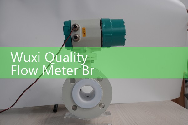 Wuxi Quality Flow Meter Brand
