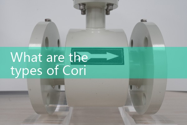 coriolis flowmeter