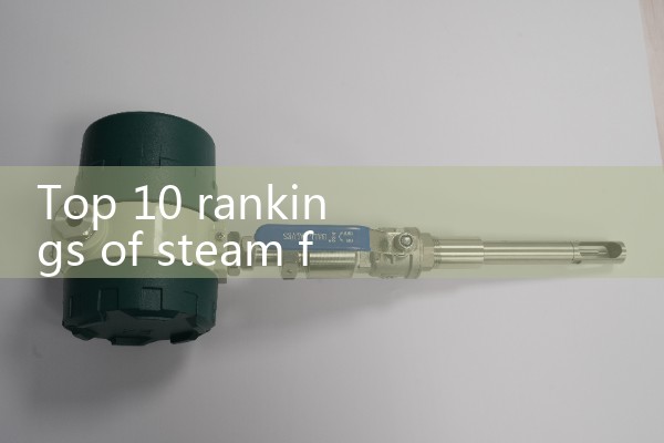 Top Ten Rankings of Steam Flowmeters