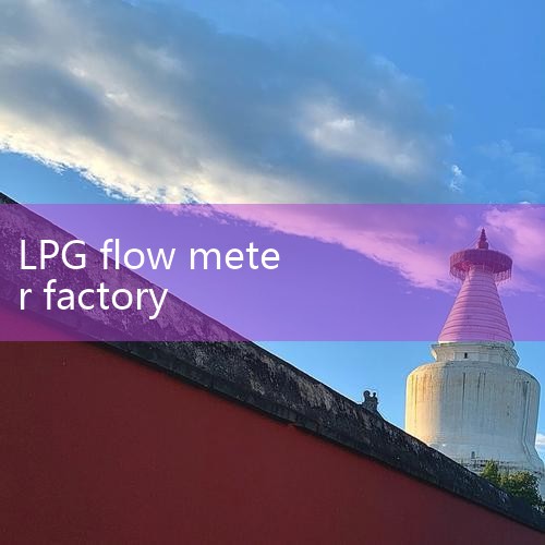 Liquid Flow Meter factory|Land Fluid - LPG Flow met|Flow Meter Manufacturer, |Me|digital flow meter