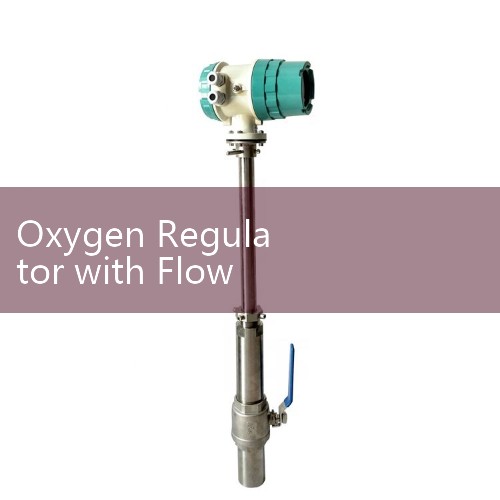 Oxygen Regulator with Flow Meter: Patient Cylinder Medical Gas Delivery Kits
