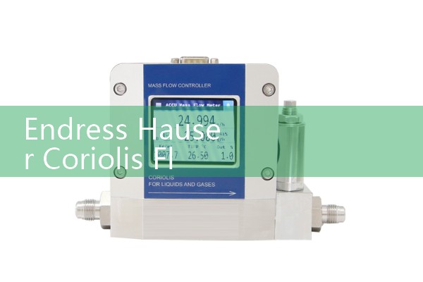 Submersible electromagnetic flowmeter