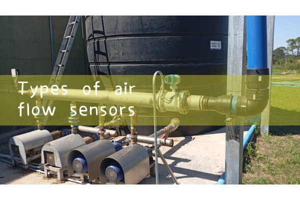 types of air flow sensors|gas flow meter