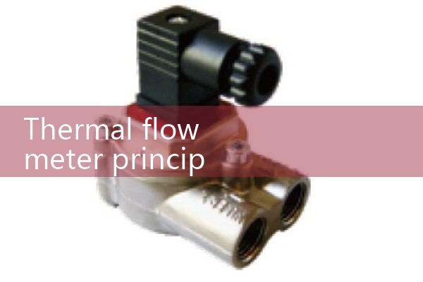 thermal flow meter principle|gas flow meter