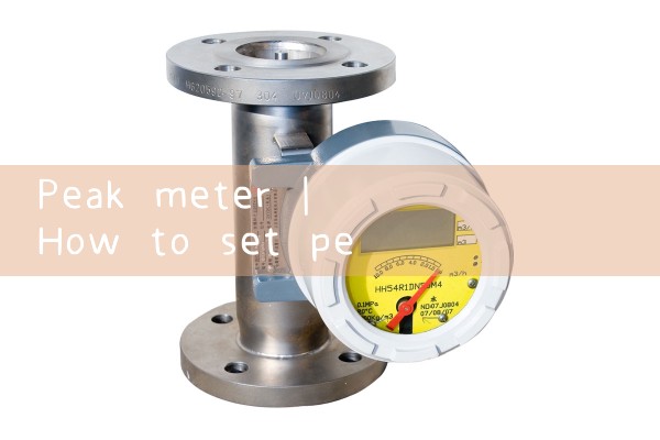 peak meter|magnetic flow meter