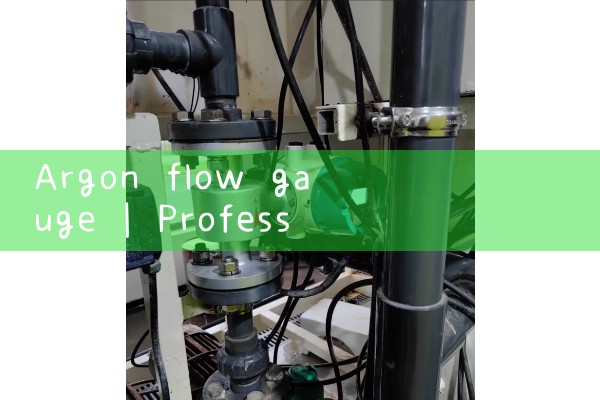 argon flow gauge|magnetic flow meter