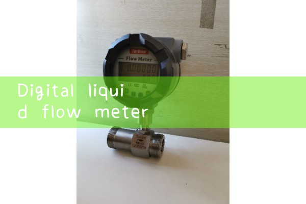 digital liquid flow meter|gas flow meter