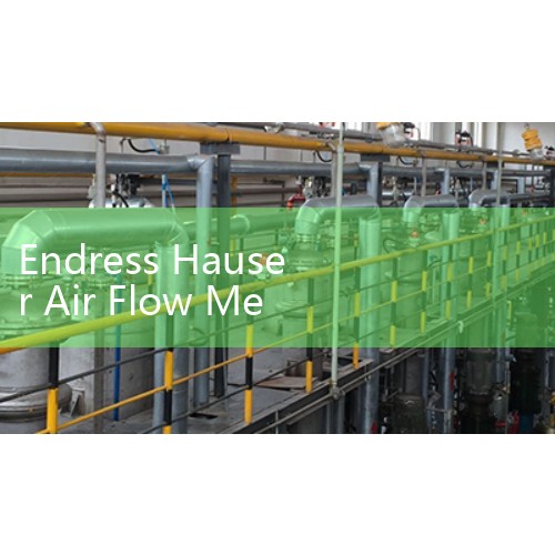 Endress Hauser Air Flow Meter Sizing: Thermal Mass and Vortex Sensors for Compressed Systems