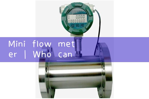 mini flow meter|air flow meter